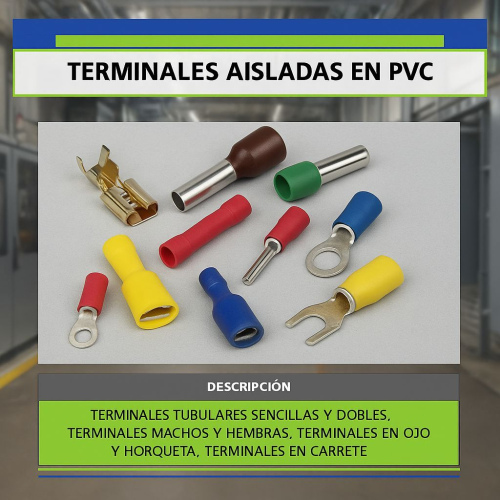 Terminales